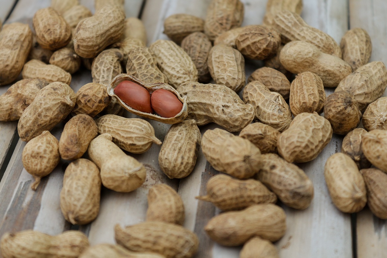 Healthy Nuts and Nutrition