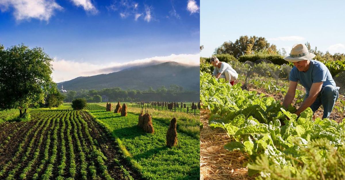 Healthy Lifestyle of Farmers in European Countries