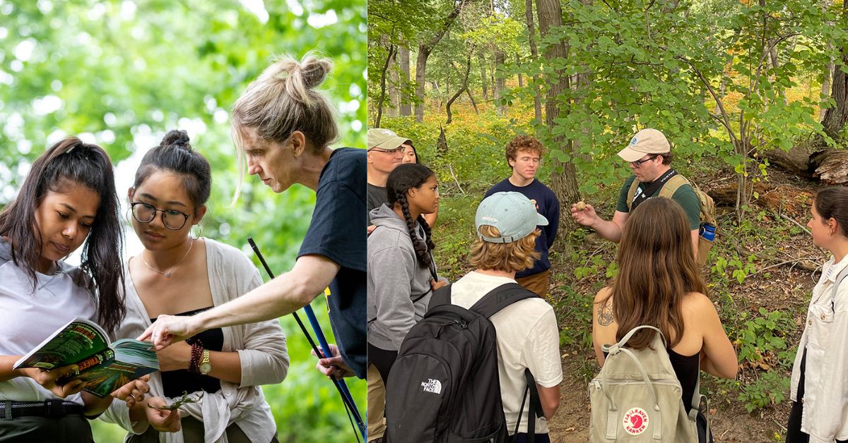 Healthy Tips For Forest Field Research Students