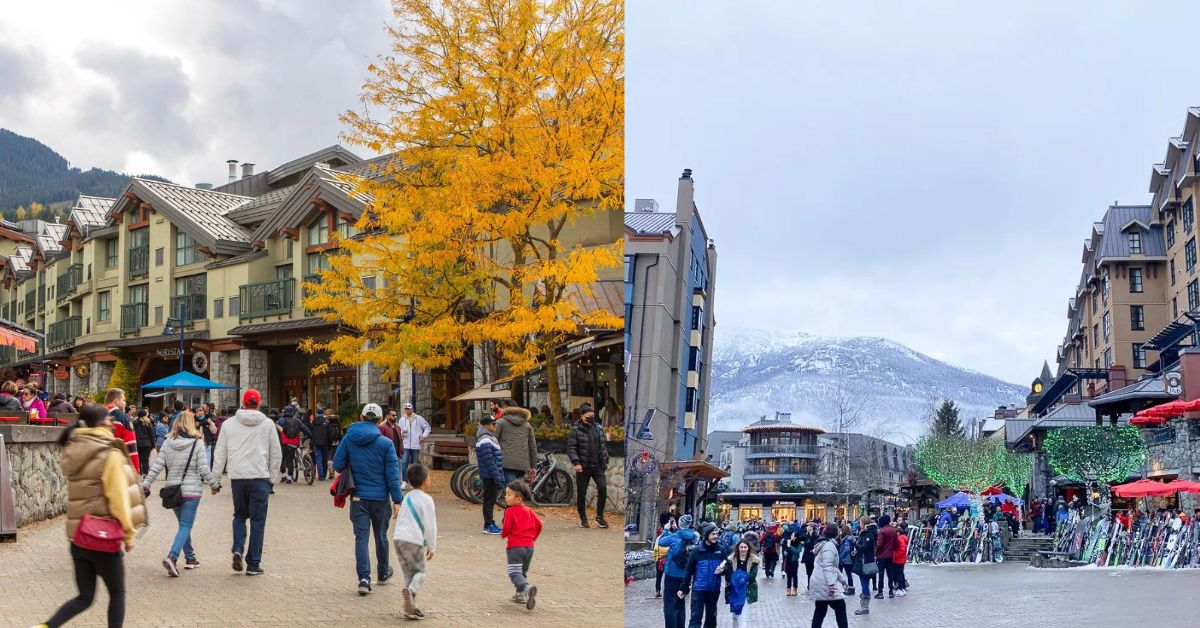 Restaurants Near Me in Whistler City